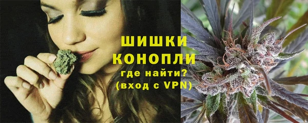 ECSTASY Богородицк