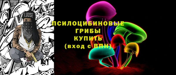 дурь Богородск