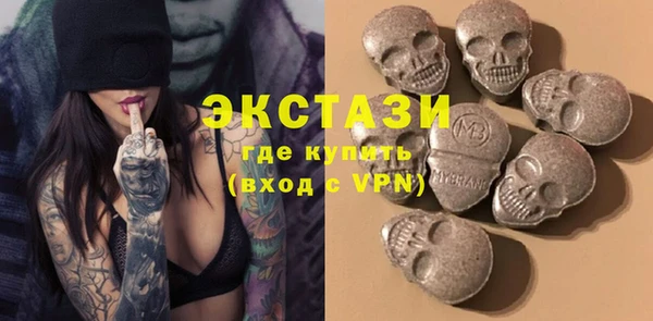ECSTASY Богородицк