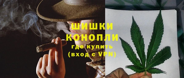 ECSTASY Богородицк